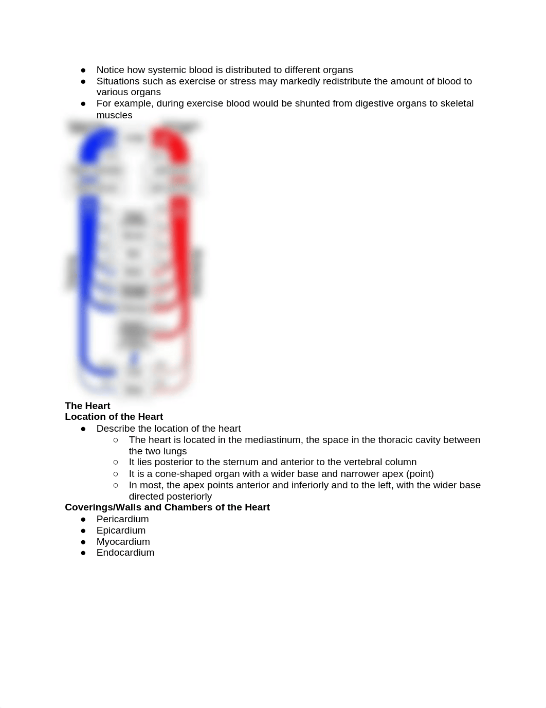 Quiz #2 Study Guide.docx_df8uqc7mhag_page2