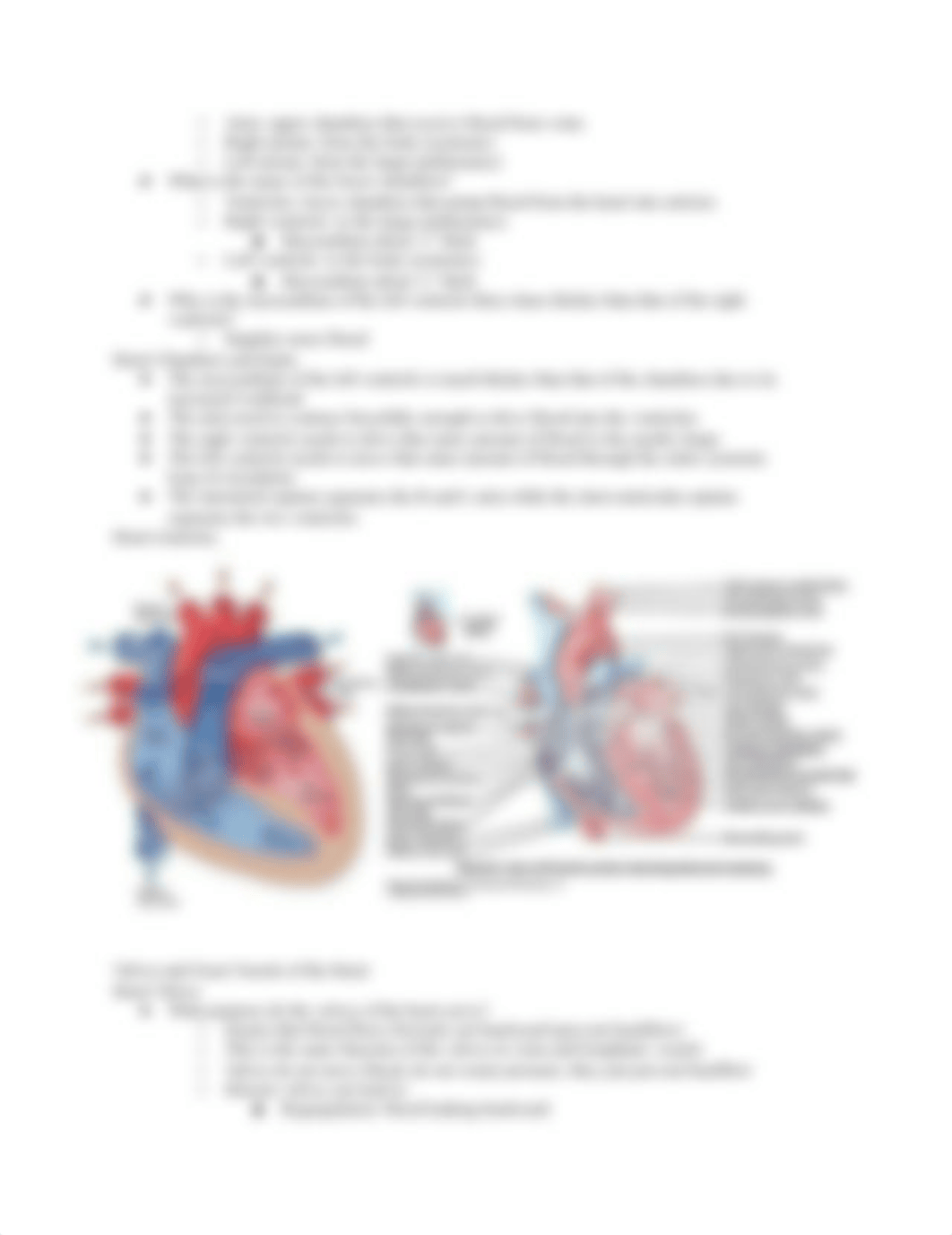 Quiz #2 Study Guide.docx_df8uqc7mhag_page4