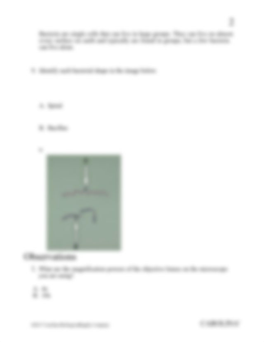 Microscopy Lab pt 2.pdf.docx_df9e0r2isz6_page2