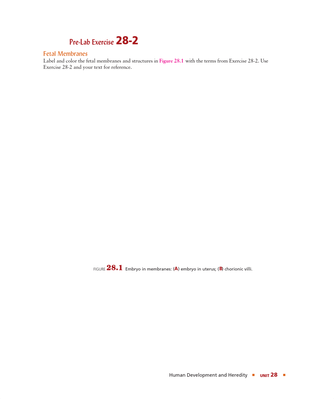Unit 28 Pre-Lab Exercise 28-2.pdf_df9h9pziueh_page1