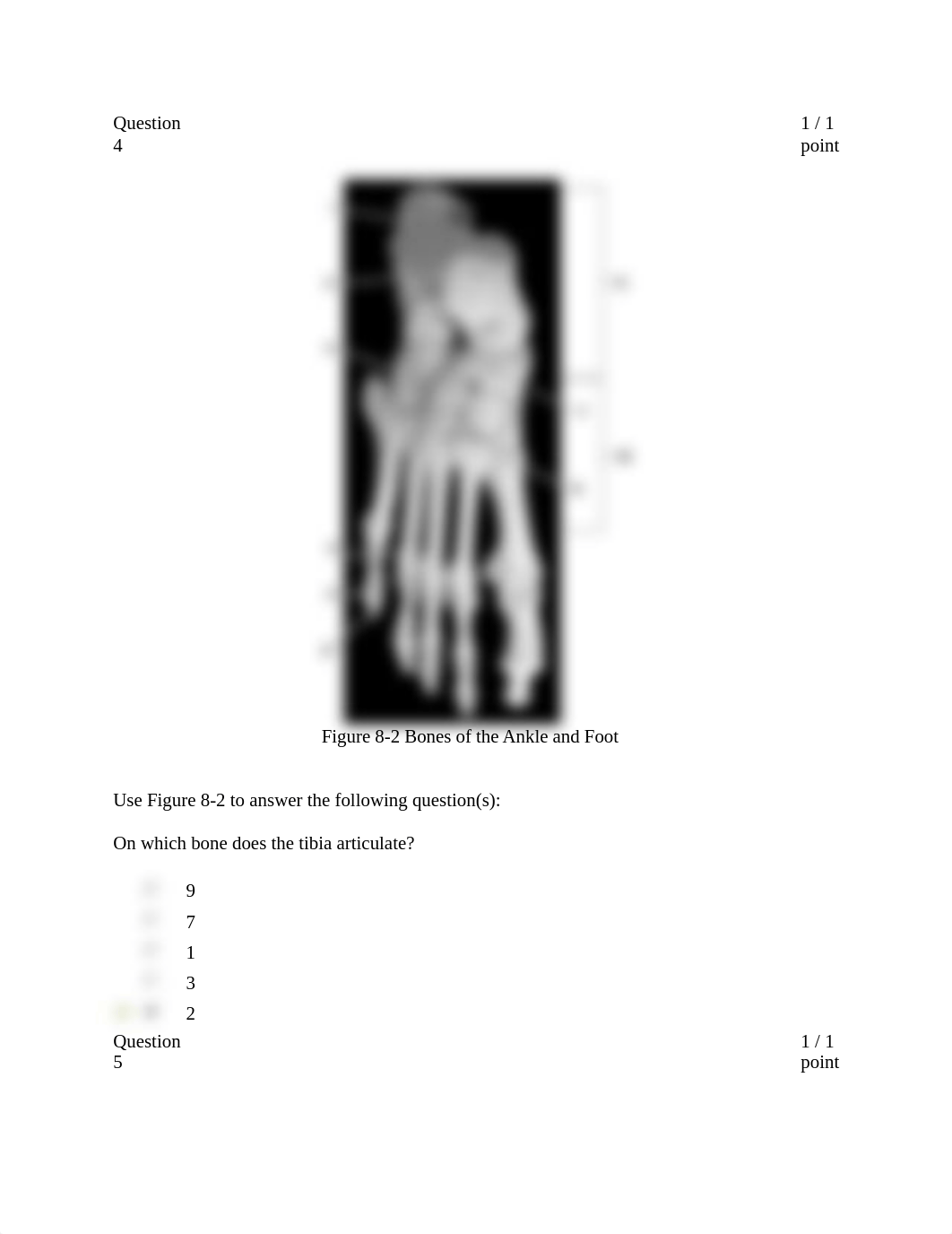 Appendicular Skeleton 8-3_df9p23hqp5y_page4