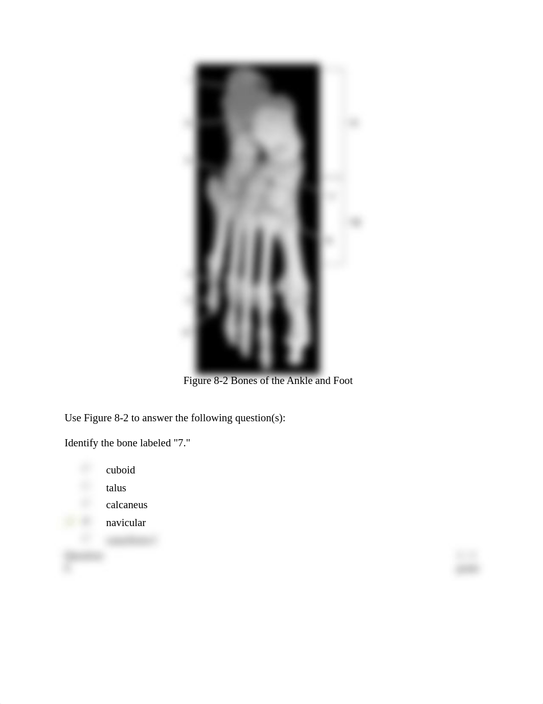 Appendicular Skeleton 8-3_df9p23hqp5y_page5