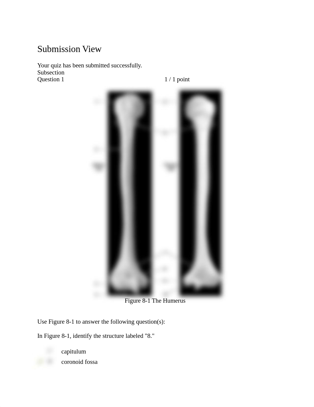 Appendicular Skeleton 8-3_df9p23hqp5y_page1