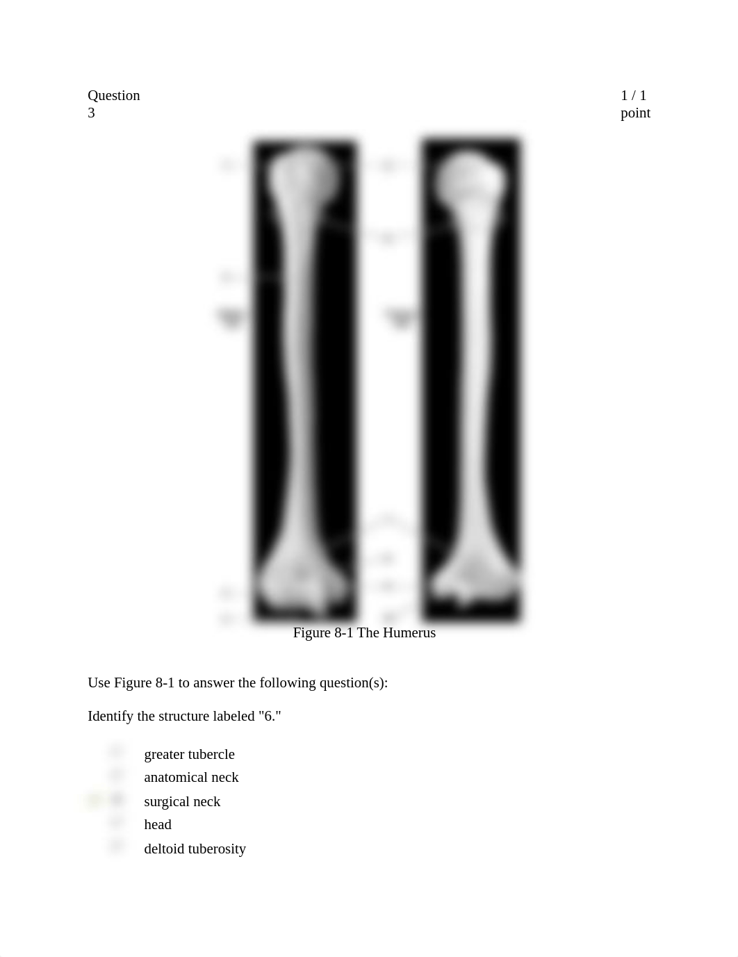 Appendicular Skeleton 8-3_df9p23hqp5y_page3