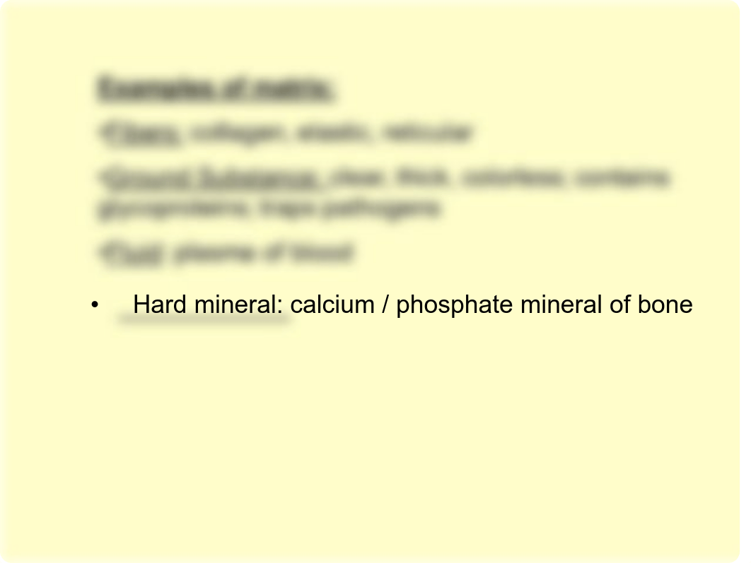 LAB 6 CONNECTIVE TISSUE.pdf_df9q96j5apr_page4