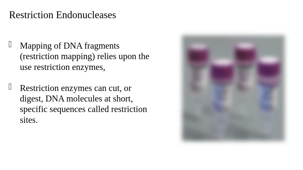 Lab 7 Restriction mapping of Plasmid DNA.pptx_df9regbu1ew_page5