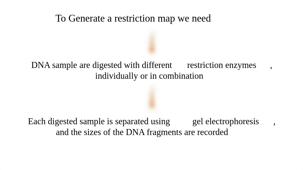 Lab 7 Restriction mapping of Plasmid DNA.pptx_df9regbu1ew_page4