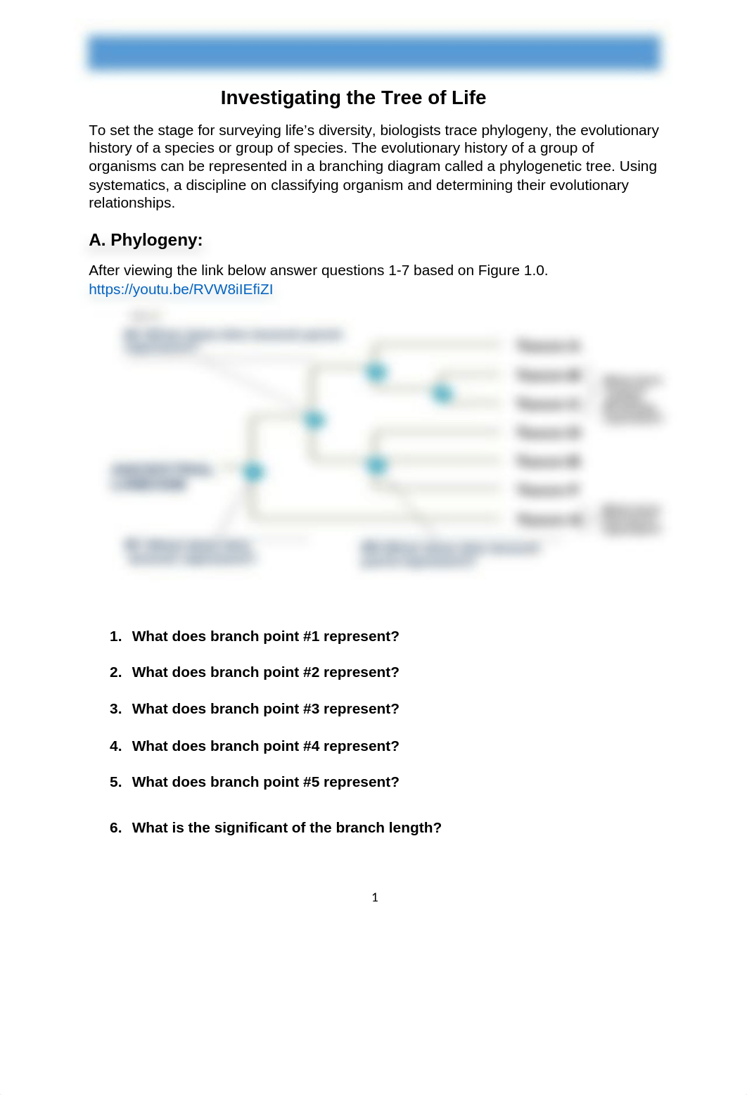 Exercise 13 Systematics Phylogeny  Bonnie Christopher Revised by Kim (1).docx_df9rvamtgrc_page1