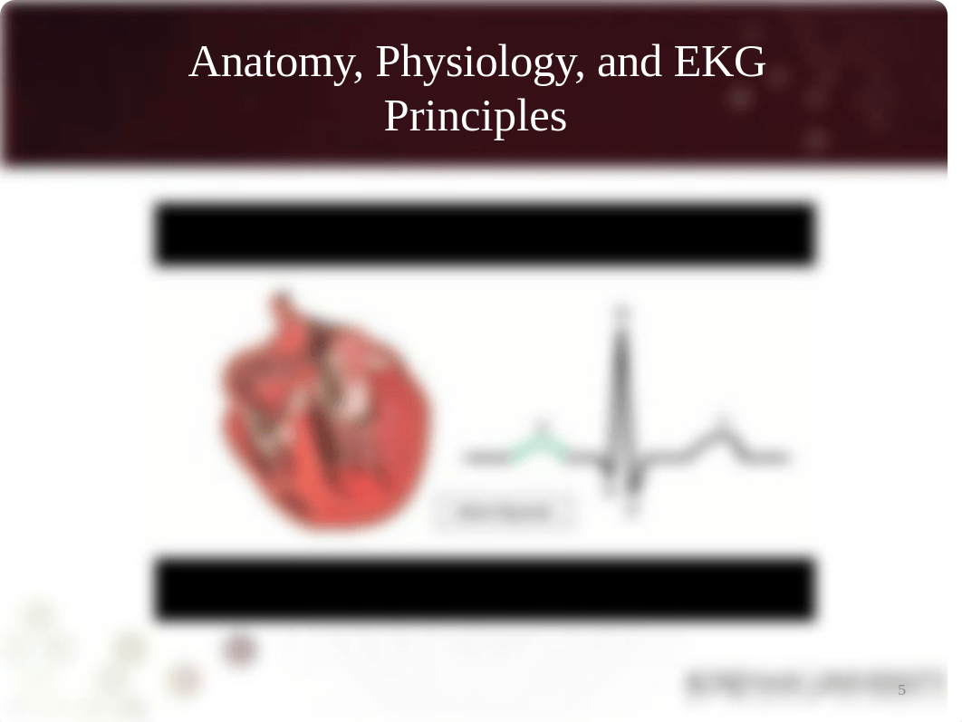 EKG interpretation (3) (2).pptx_df9xbl3lyex_page5