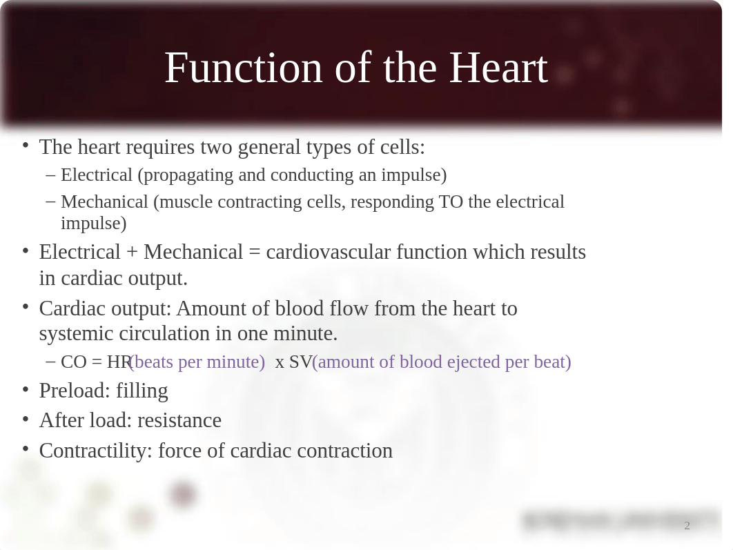 EKG interpretation (3) (2).pptx_df9xbl3lyex_page2