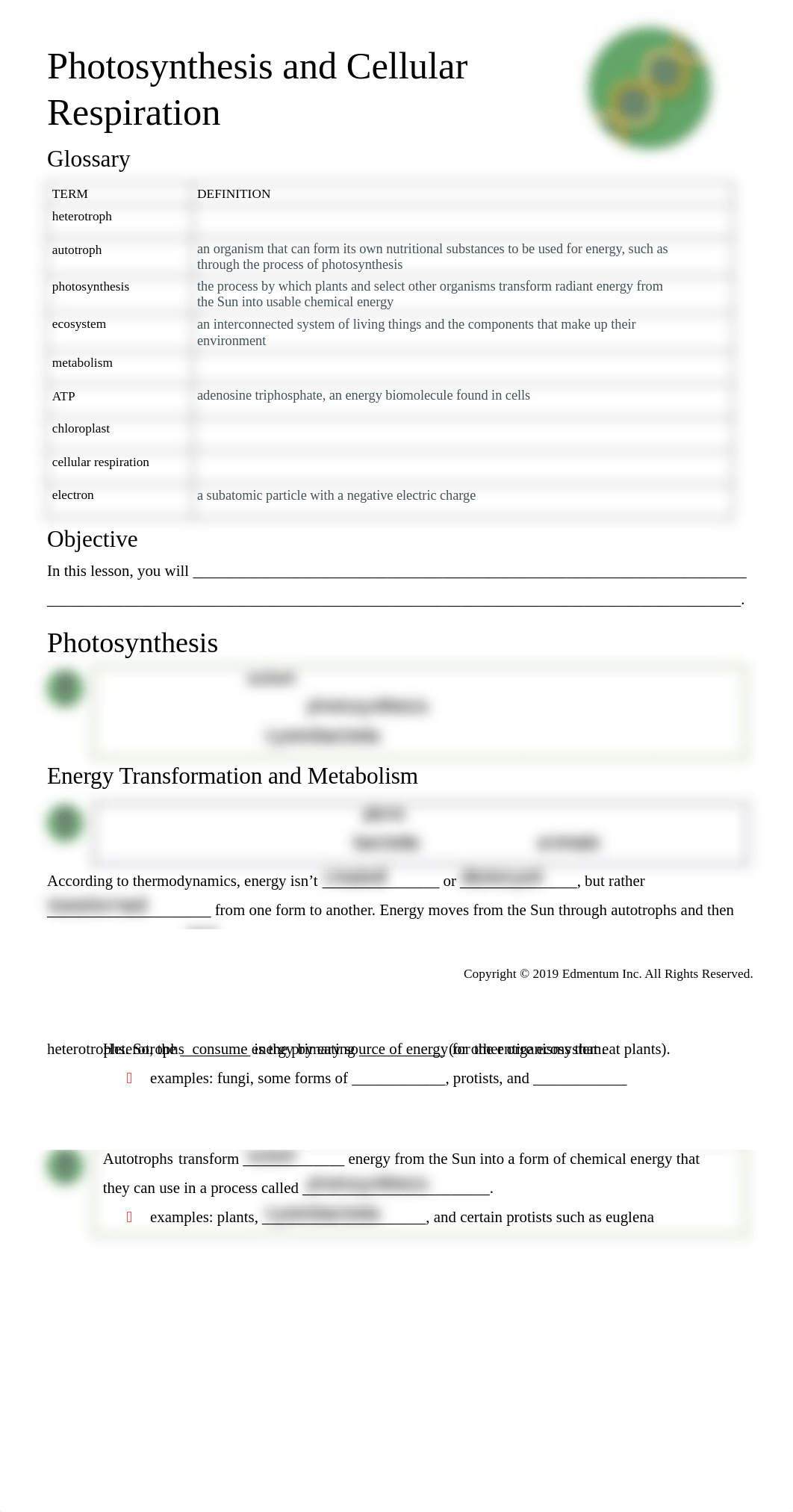 Photosynthesis and Cellular Respiration.pdf_dfa0ddoytpi_page1