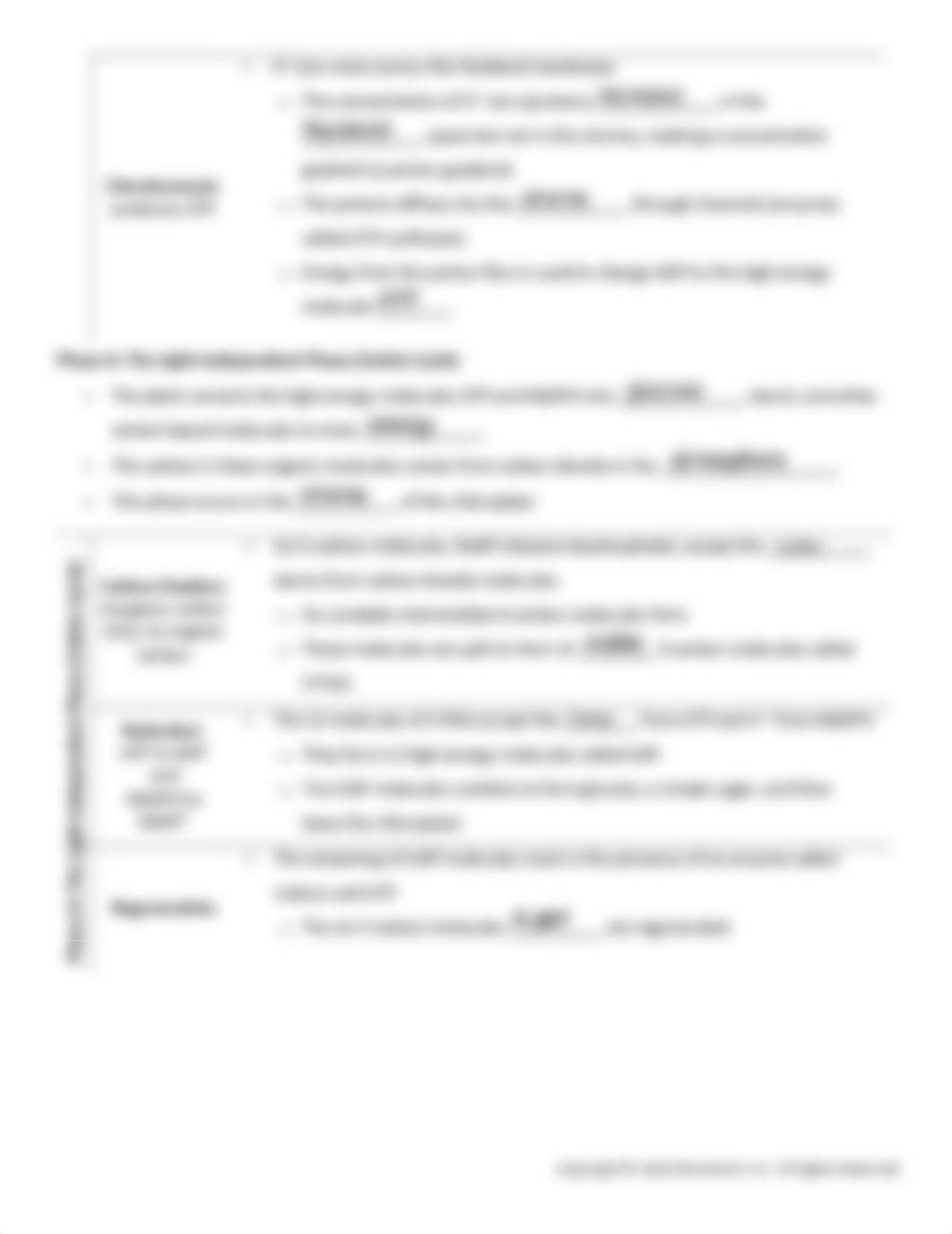 Photosynthesis and Cellular Respiration.pdf_dfa0ddoytpi_page3