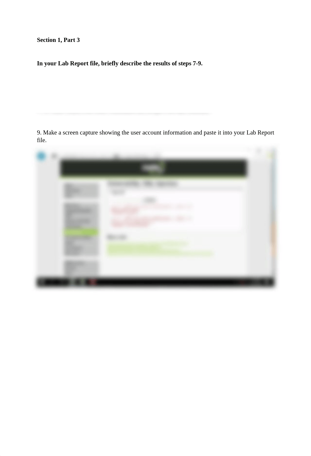 Attacking a Web Application Lab 5.docx_dfa59buewki_page2