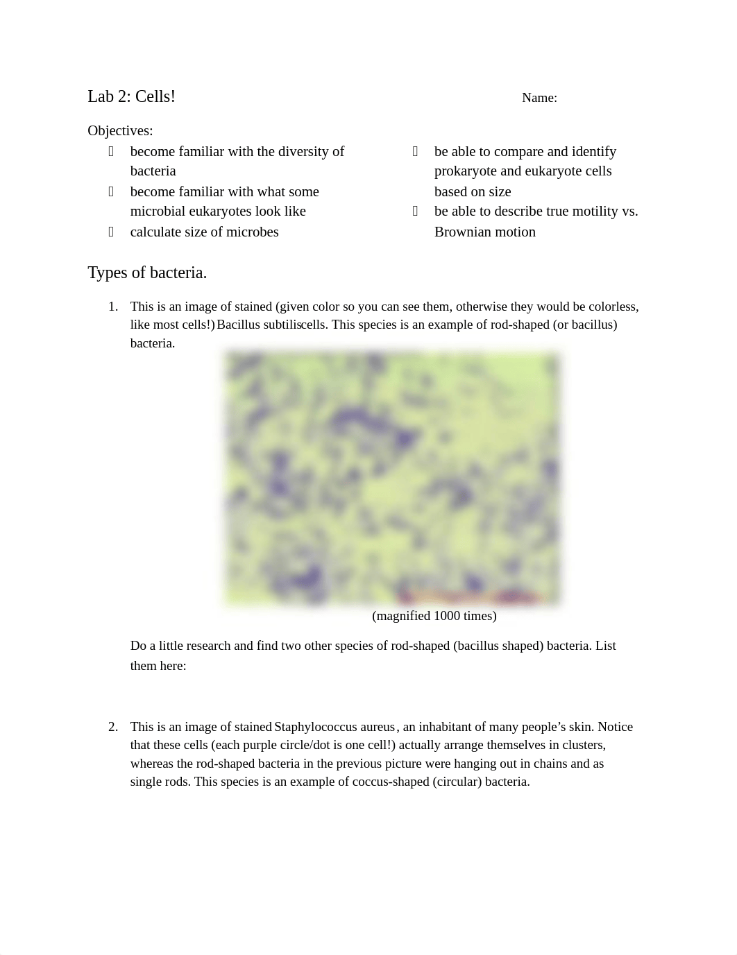 lab2 (2).docx_dfa5q9zrv7c_page1