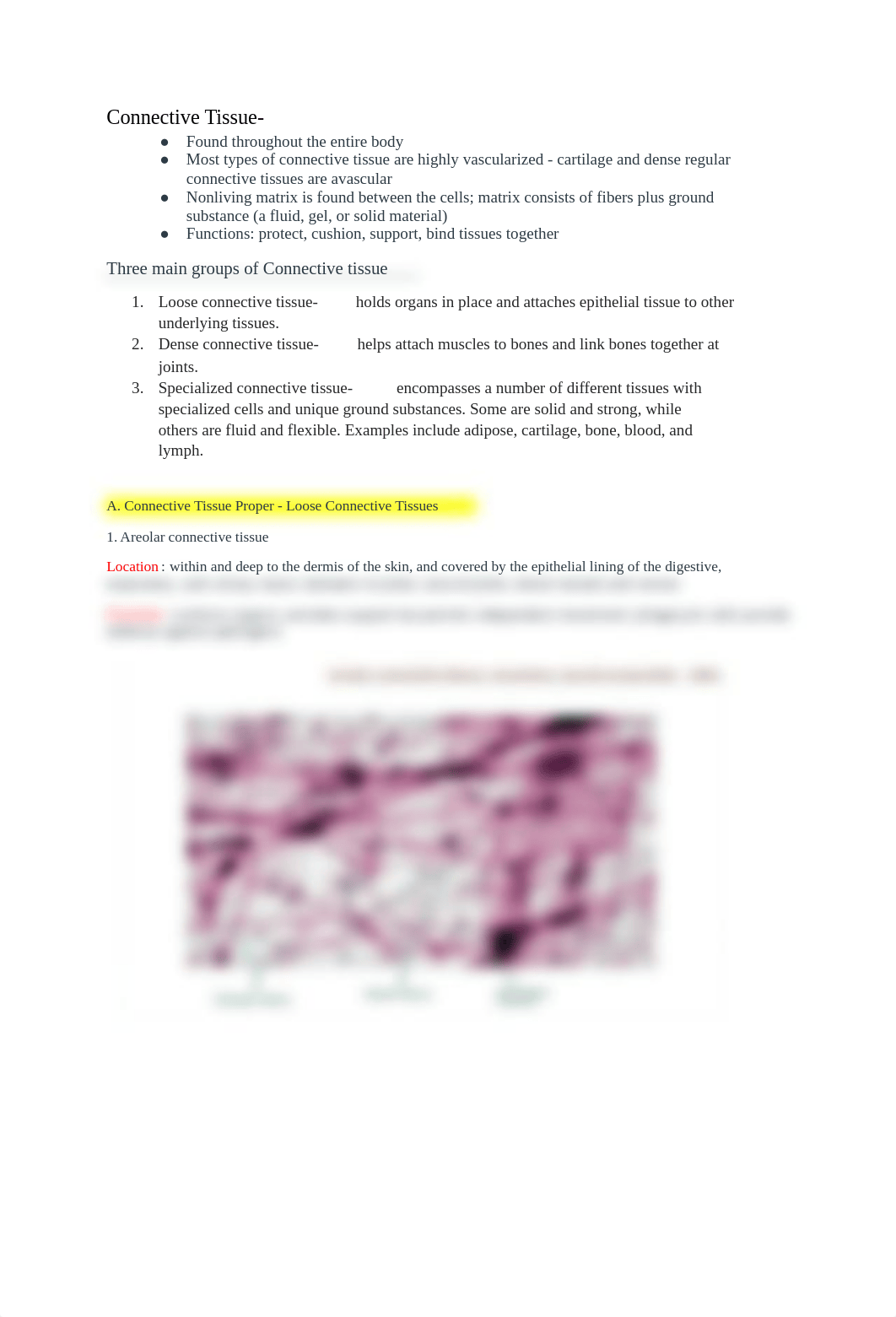 Connective Tissue_dfa9ia954go_page1