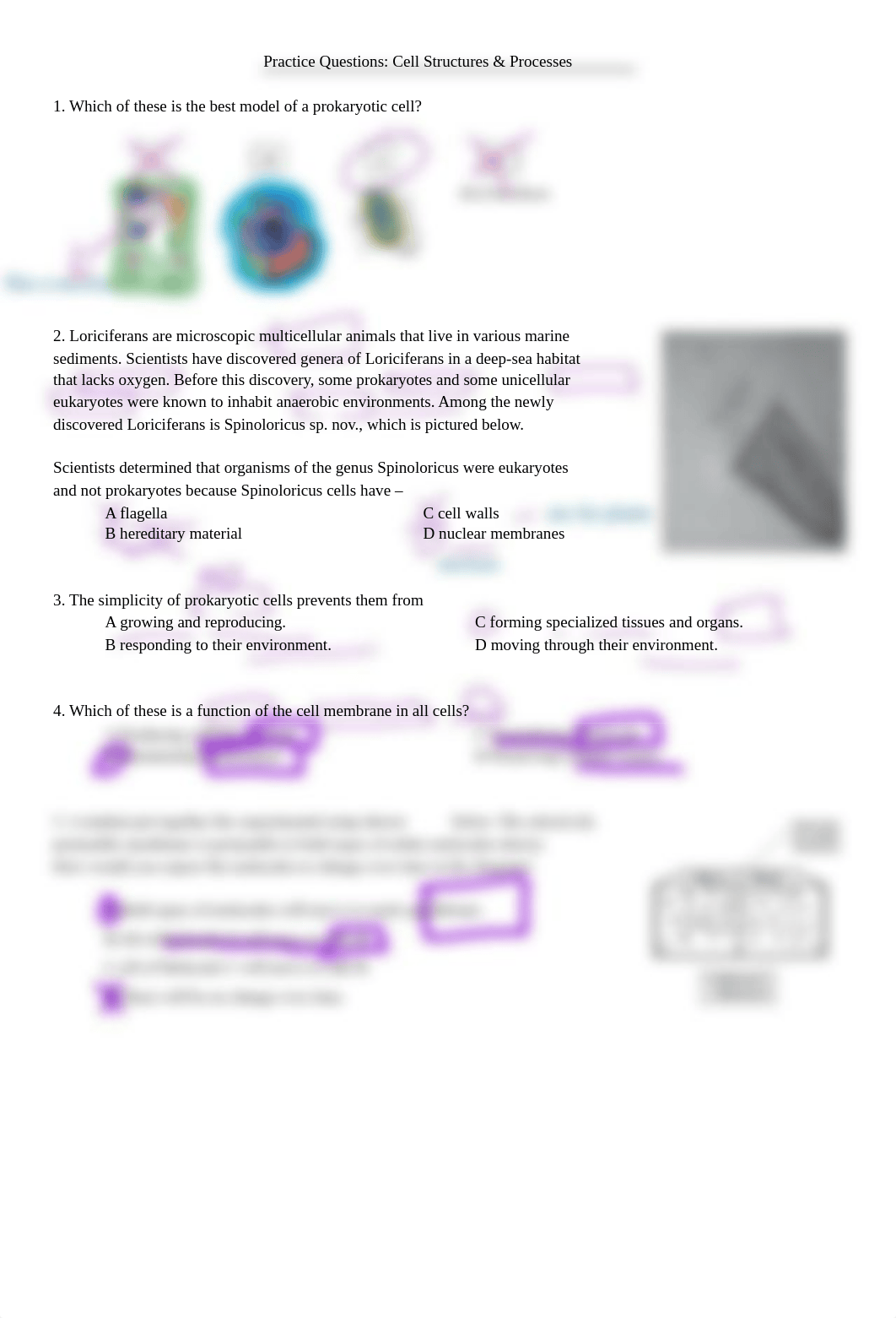 Esperance_-_Practice_Questions_Cell_Structures__Processes.pdf_dfaaeysiehh_page1