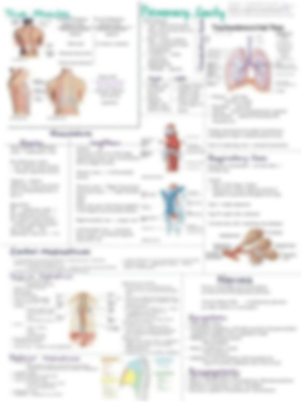 Midterm Review_ Lectures 2-3.pdf_dfae40t5qph_page2