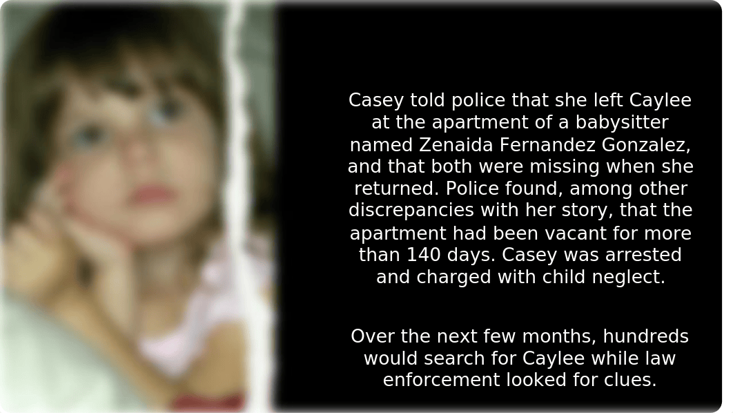 The Casey Anthony Case.pptx_dfafgr61ljm_page4