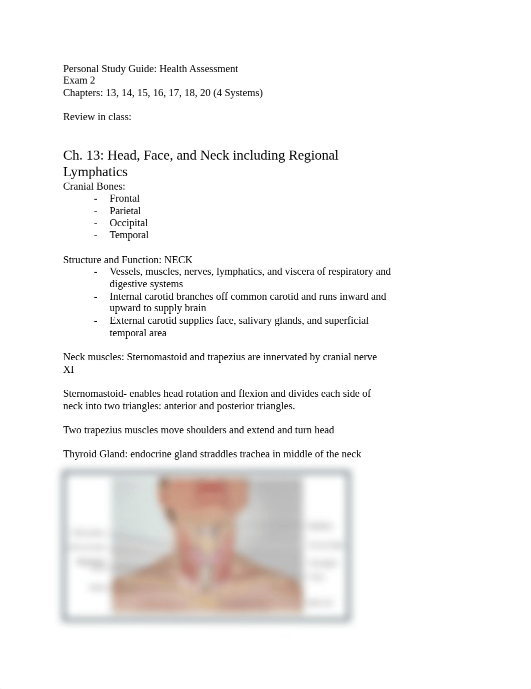 Personal Study Guide.docx_dfafp4is1zk_page1