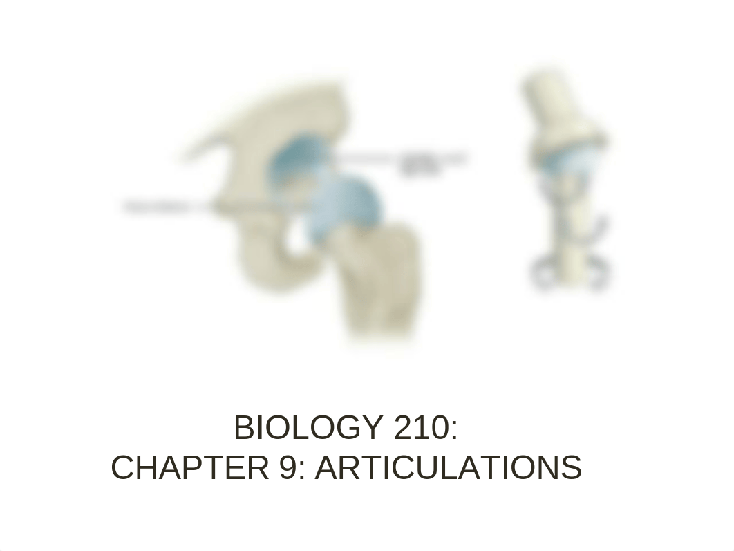 9 BIO 210 Articulations1 (1).pptx_dfafvx8qo9o_page1