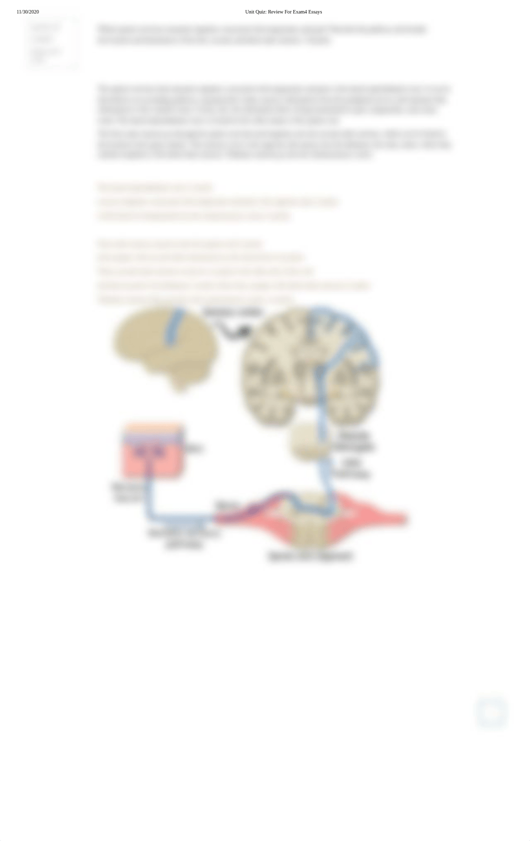 Unit Quiz_ Review For Exam4 Essays.pdf_dfahq2zrxdl_page2