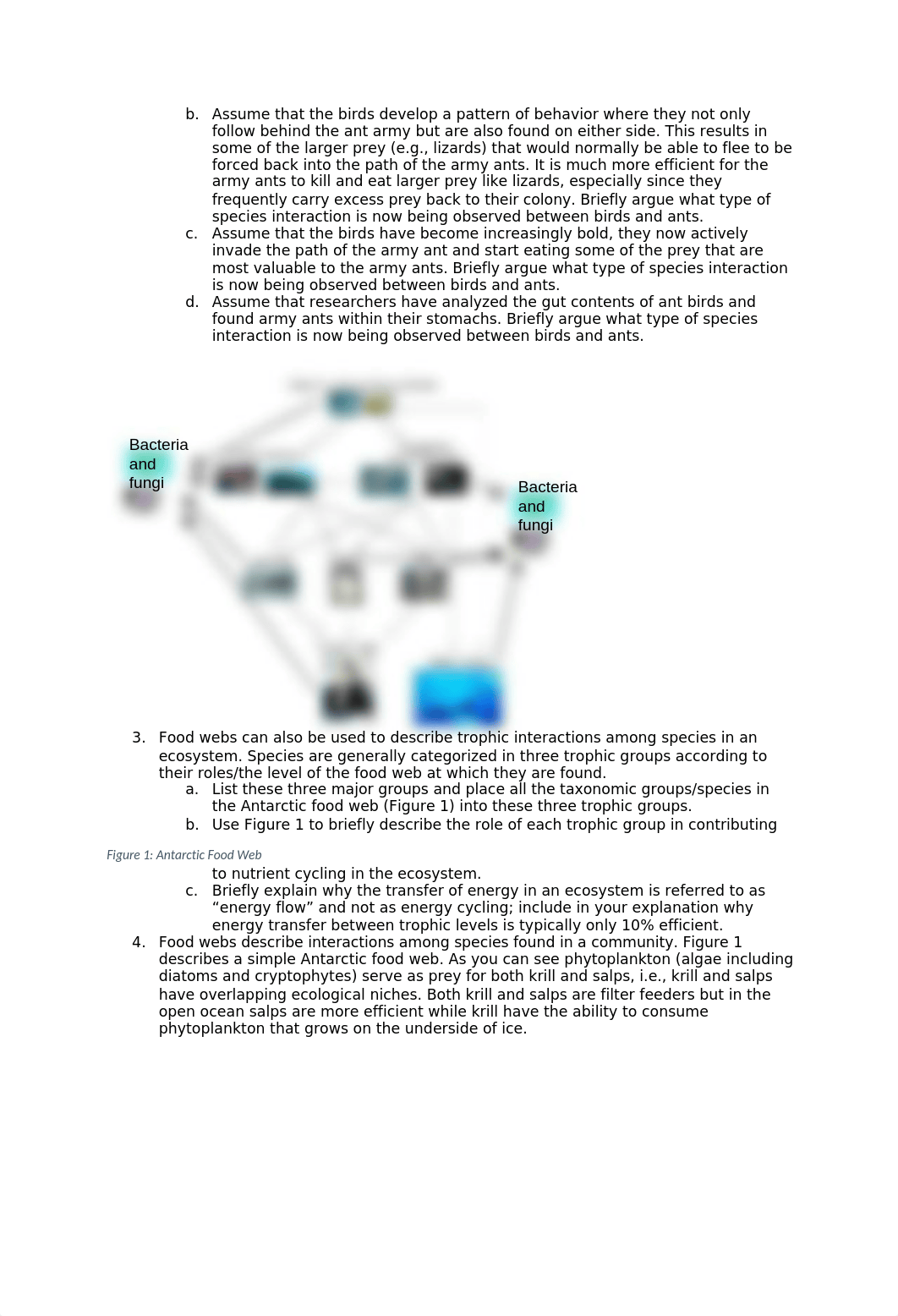 BI 104 Comprehensive questions.docx_dfaixh6xotk_page2