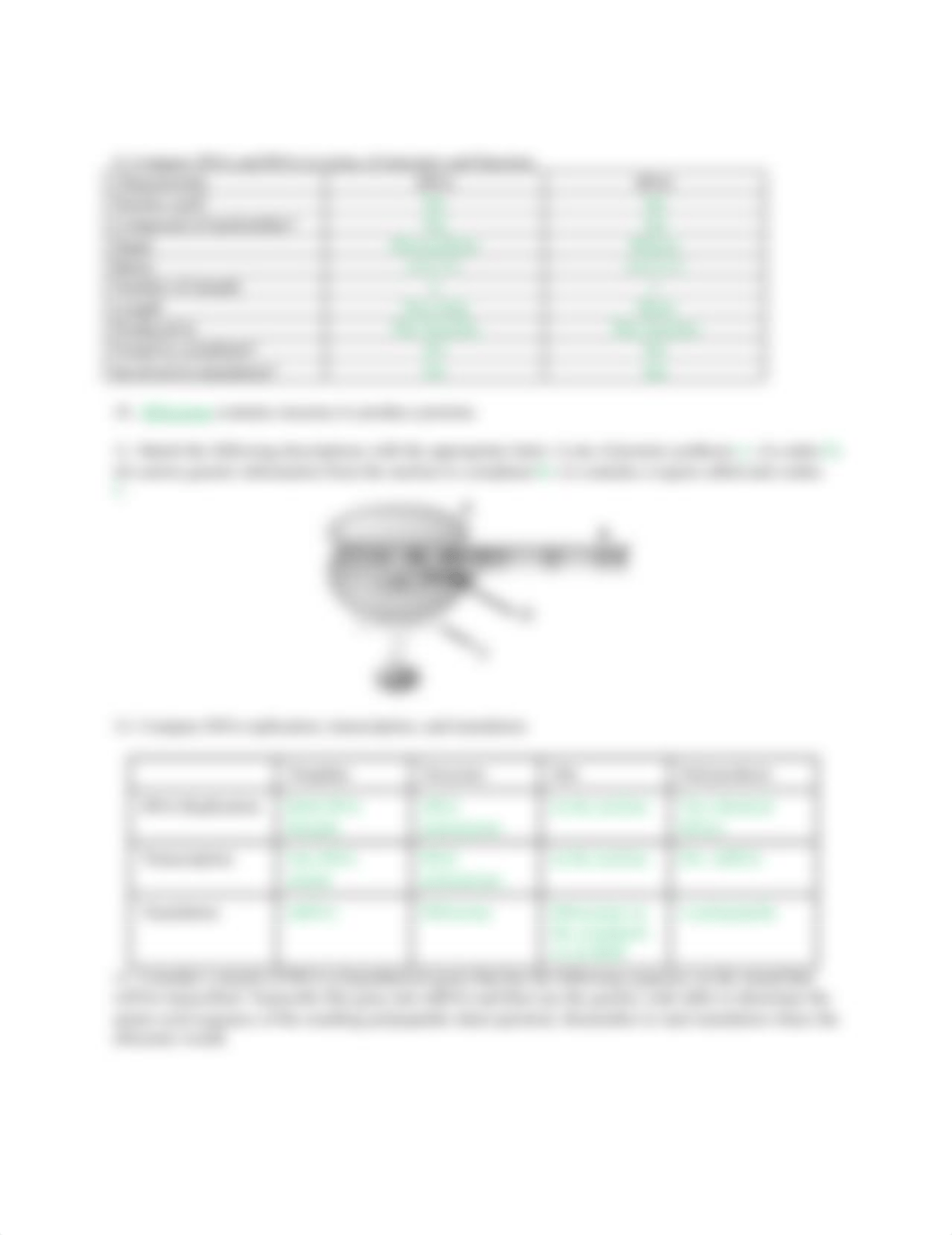 Worksheet BIO304 M8 DNA (II).docx_dfast4vl9ui_page2