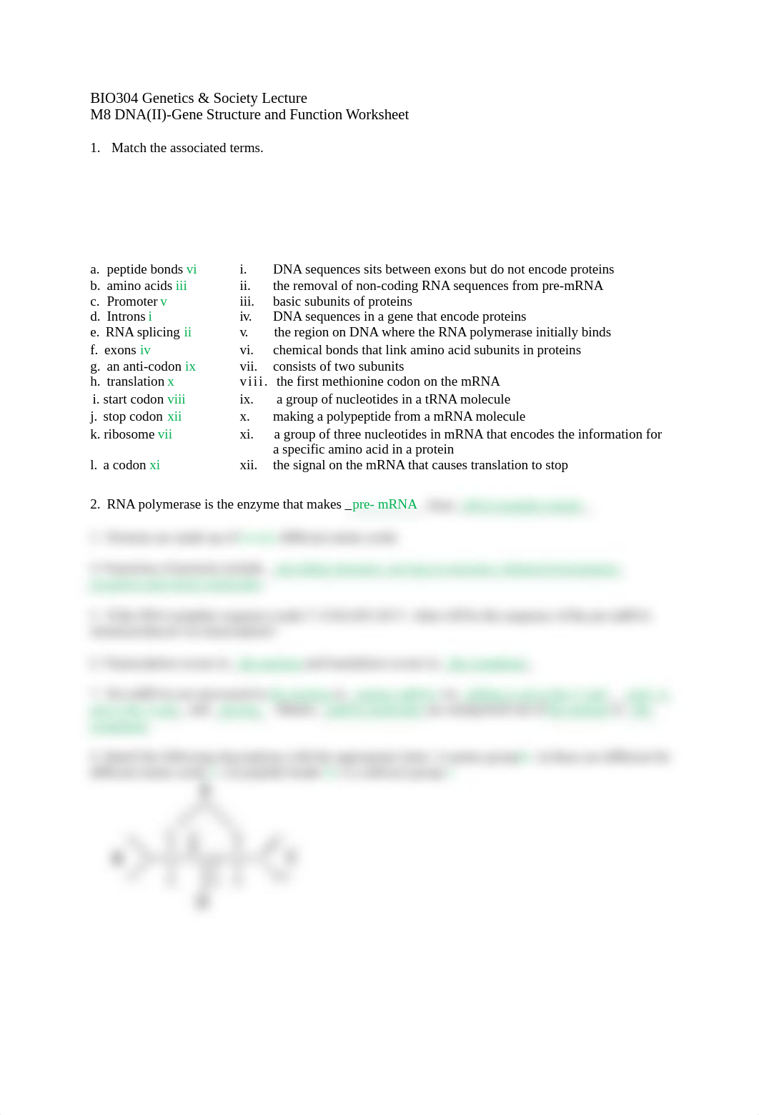 Worksheet BIO304 M8 DNA (II).docx_dfast4vl9ui_page1