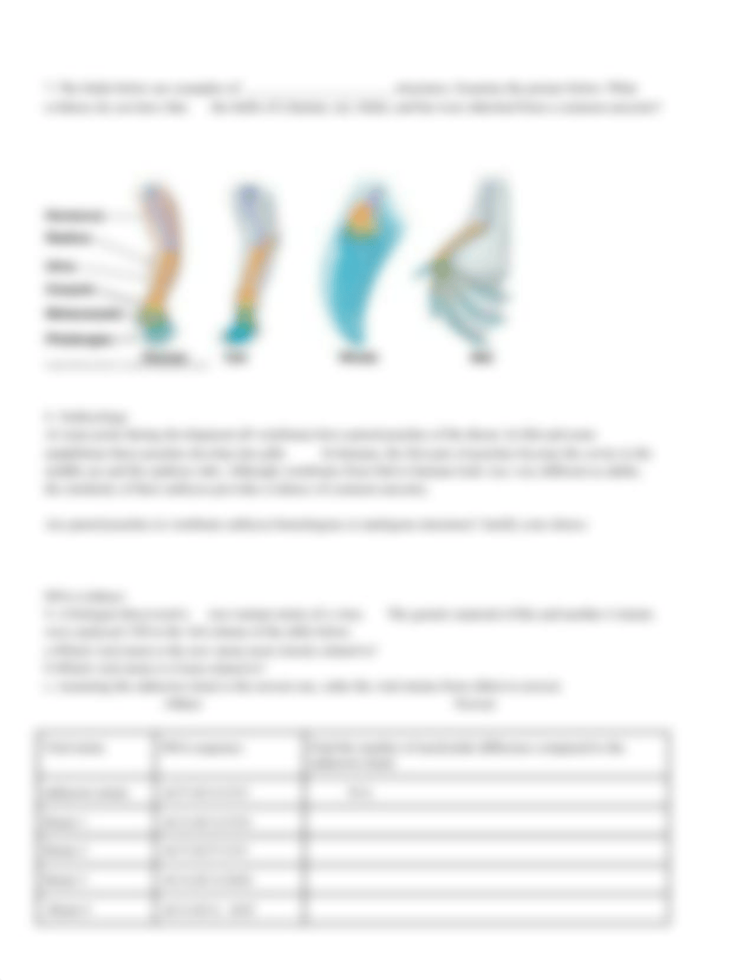 Copy_of_8Evidence_for_Evolution_worksheet_dfay9pyavn0_page2