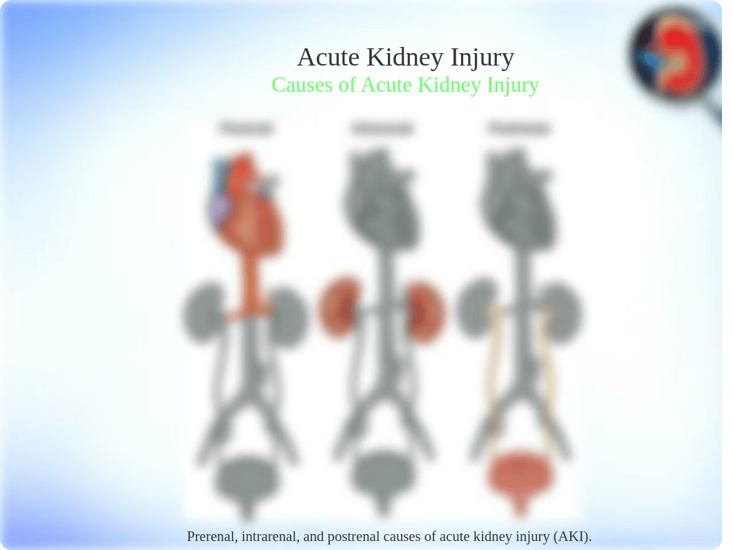 N566_2019Renal.pptx_dfaz3v90f8c_page3