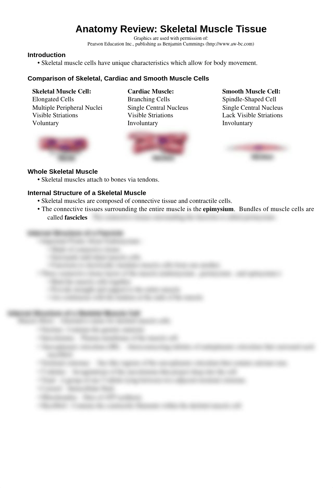 Anatomy Review- skeletal muscle tissue_dfazglm6ys3_page1