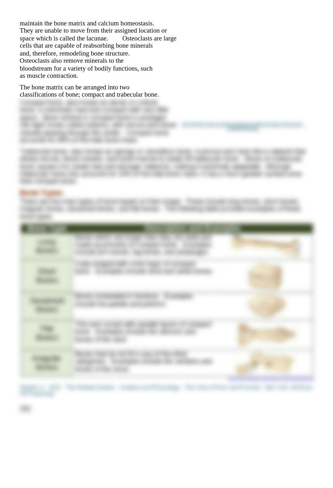 Axial Skeleton.docx_dfb6166sd09_page2