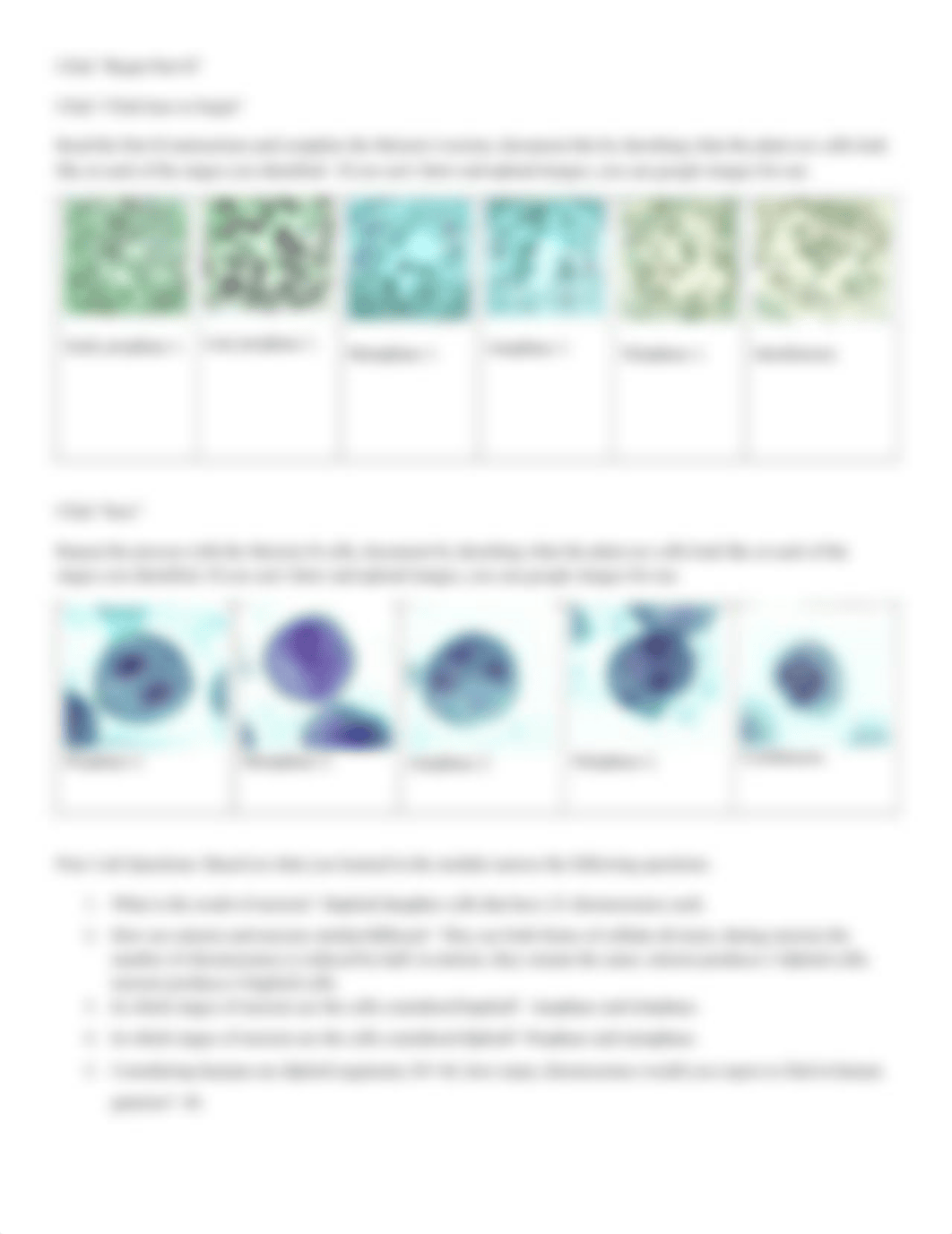 Meiosis Virtual Lab ----.pdf_dfb6q2fw9z9_page2