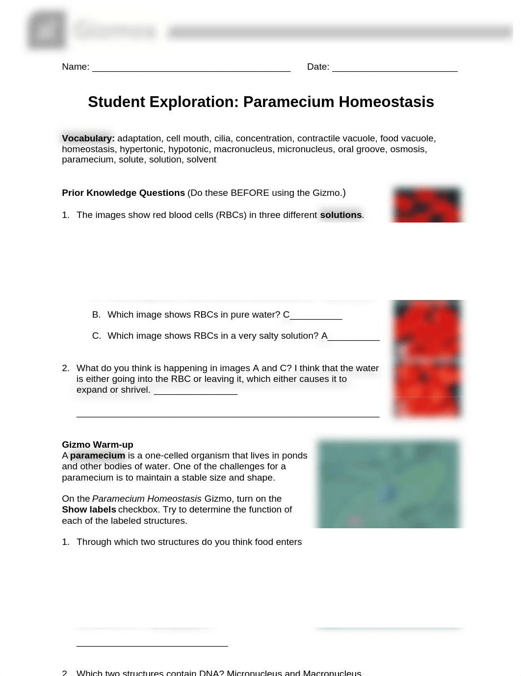 ParameciumHomeostasisSE.docx_dfbay8cc8po_page1