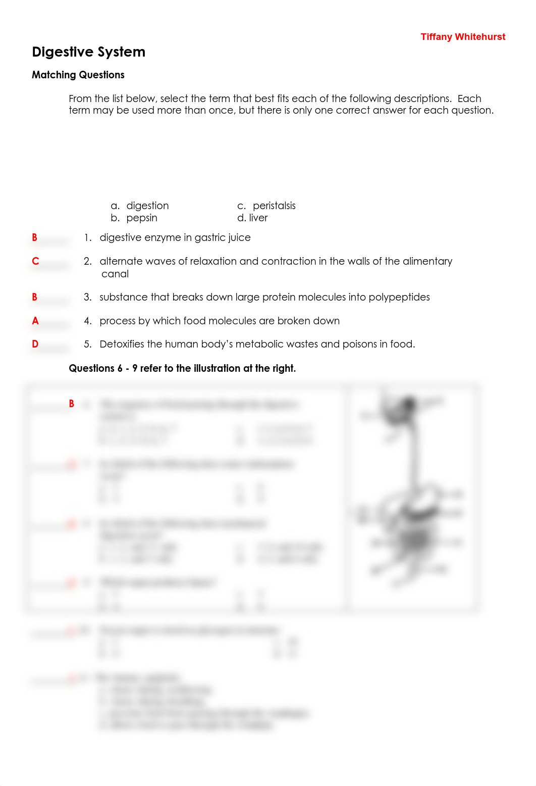 T.Whitehurst - 12.02 Exit Ticket - Digestive system.pdf_dfbf9okoq4x_page1