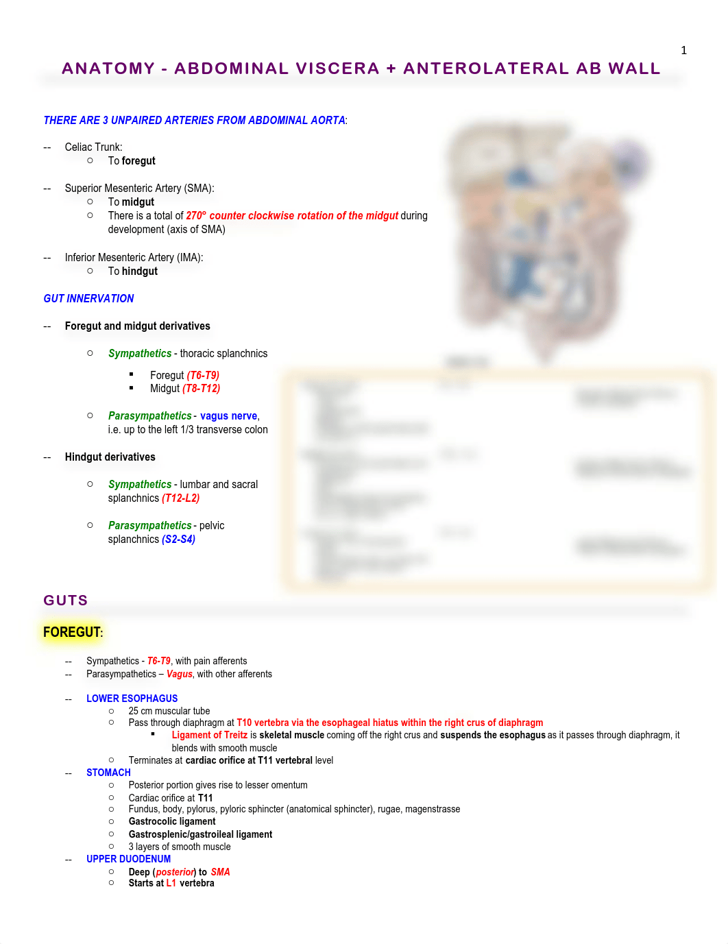 Anatomy - Abdomen - BL_dfbi4xla52n_page1