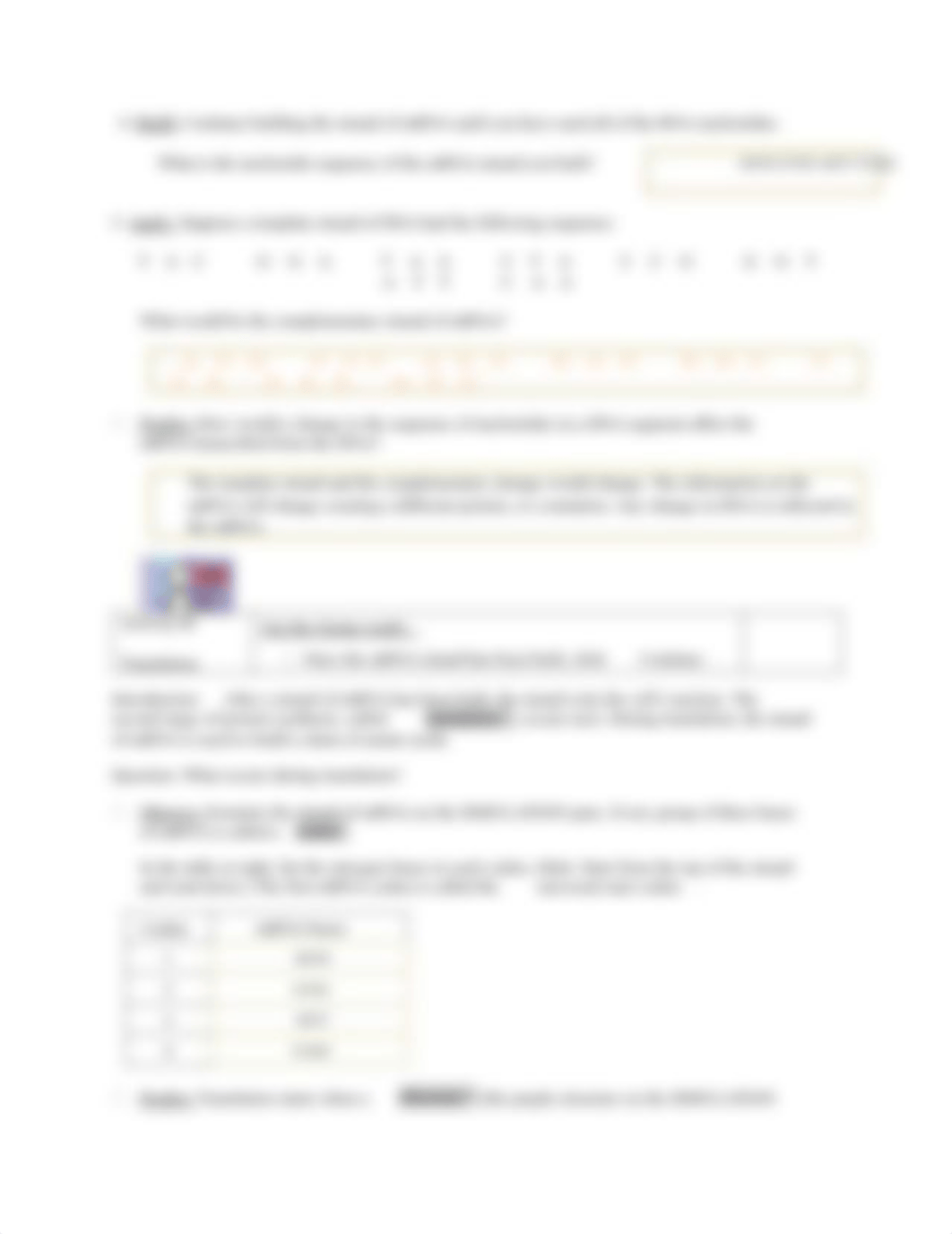 RNAProteinSynthesisSE (1).pdf_dfbk01htzpi_page3