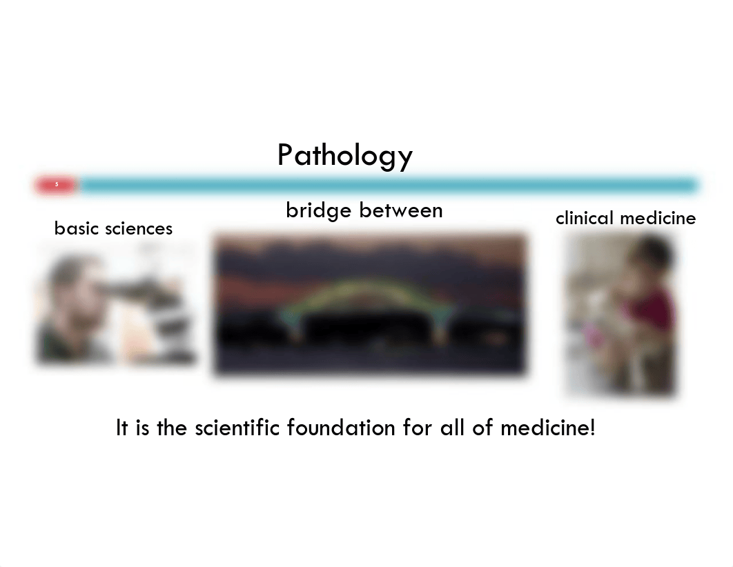 1_Introd_Gen_Path_Pathology_Terminology_2012_dfbrc13z7o4_page5