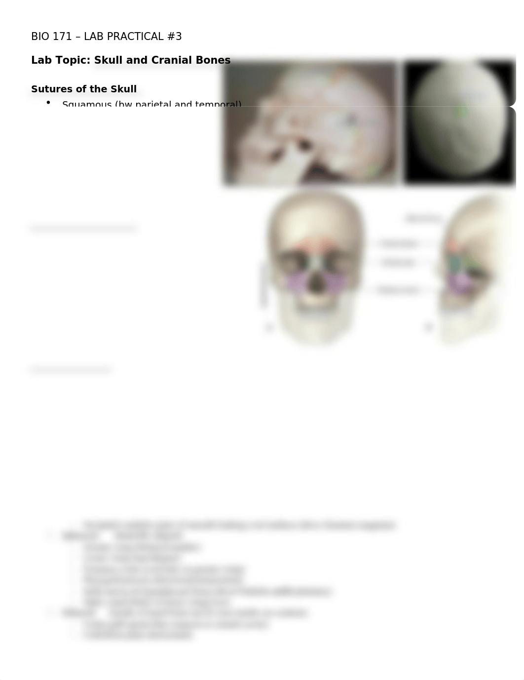 Backup of BIO 171 - LAB PRACTICAL.docx_dfbxd0uypqr_page1