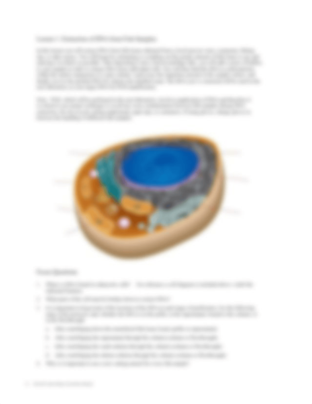 Lab 6 - Fish DNA Barcoding-2019.pdf_dfc000rlsea_page3