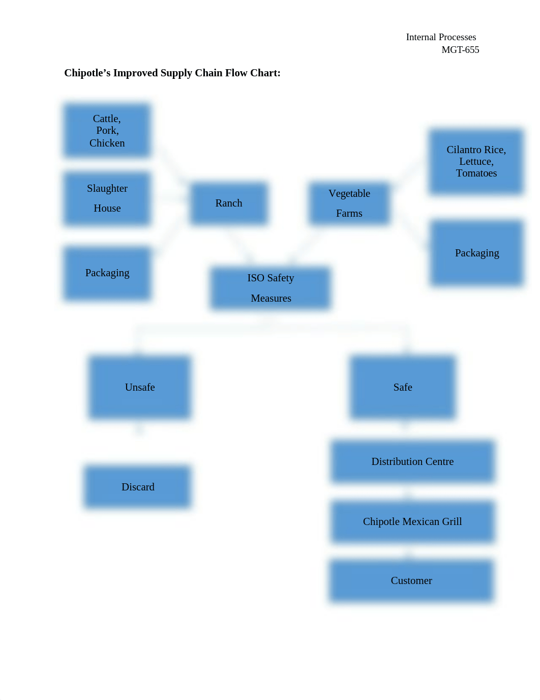 MGT655_Internal Processes_EM_dfc53vf1v8q_page2