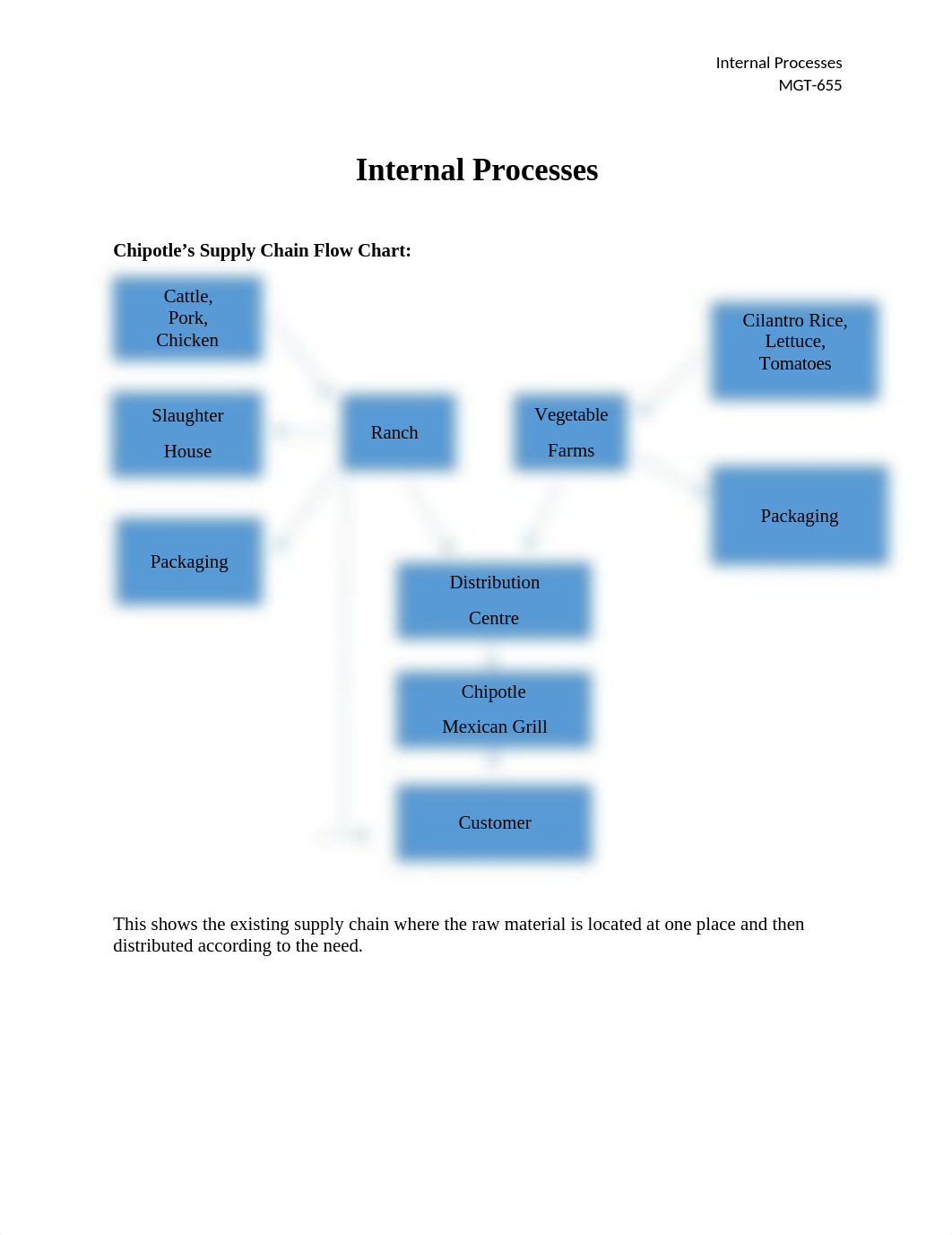 MGT655_Internal Processes_EM_dfc53vf1v8q_page1