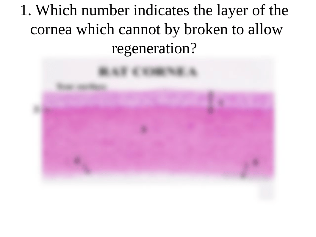 Final Exam Review (JAN13).pptx_dfcdu684ice_page2