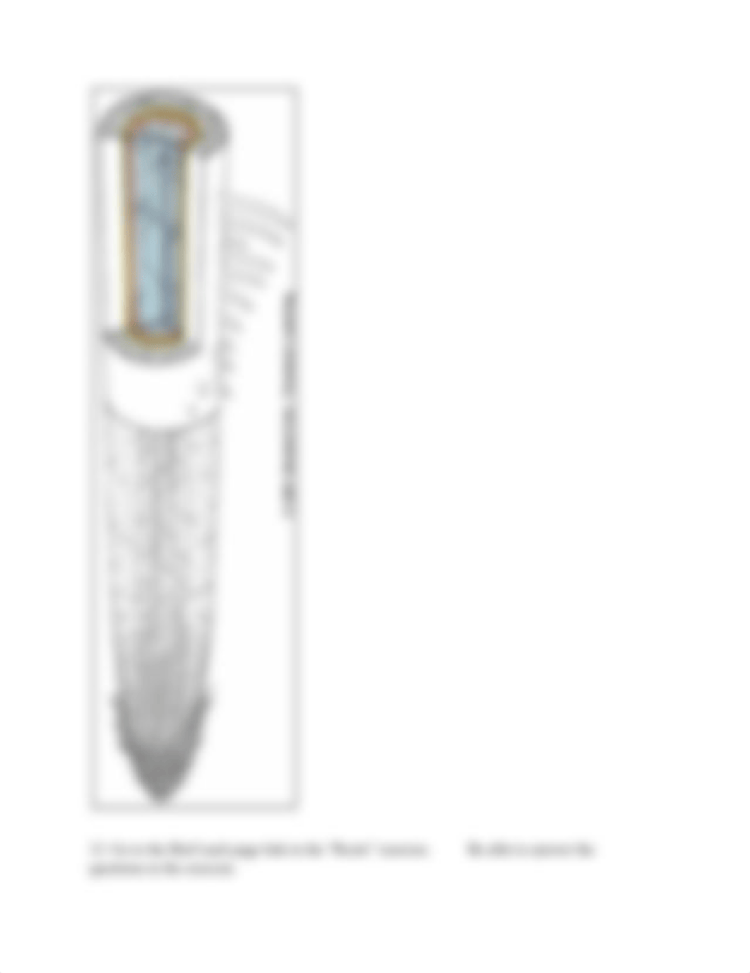 Plant Anatomy and Physiology Lab Document.doc_dfcfr2fju3a_page4