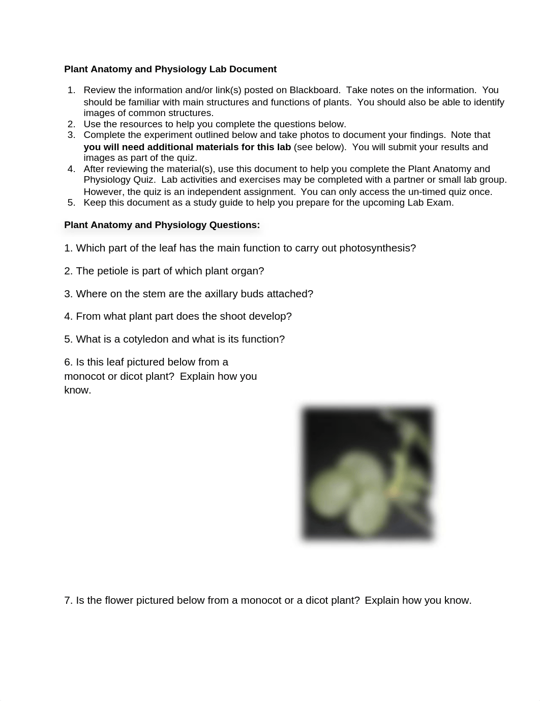 Plant Anatomy and Physiology Lab Document.doc_dfcfr2fju3a_page1