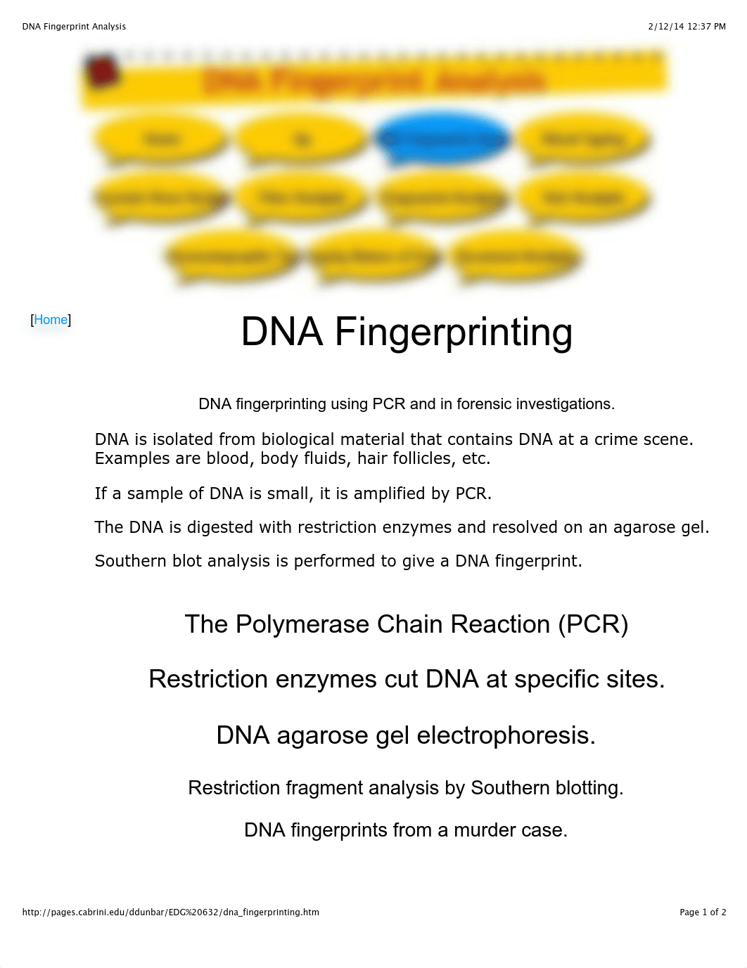 DNA Fingerprint Analysis_dfcgsae294w_page1