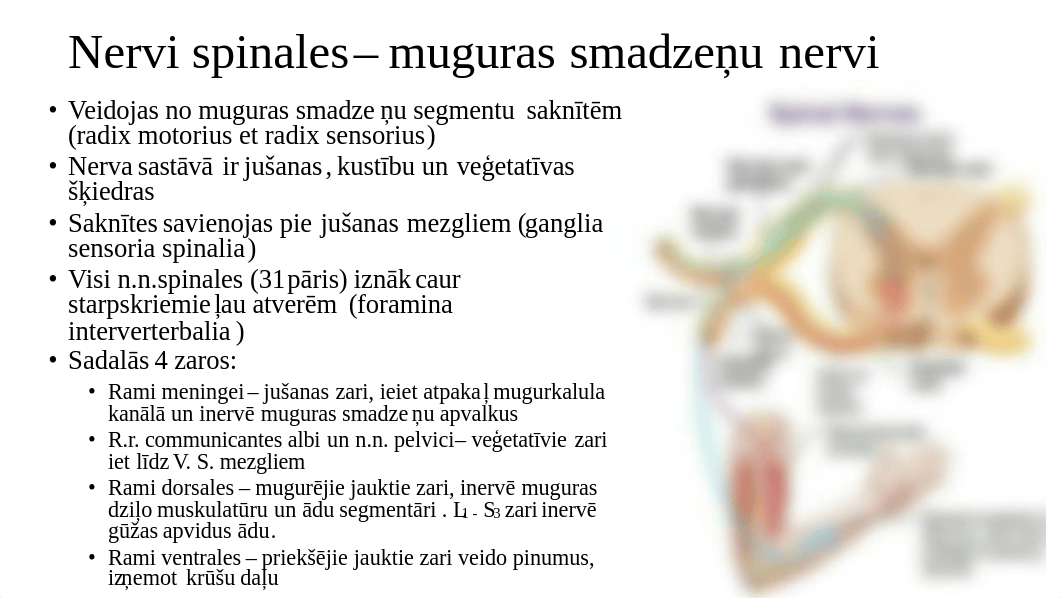 7.-11.nodarbiiba anatomija.pdf_dfcmjxglmjp_page2