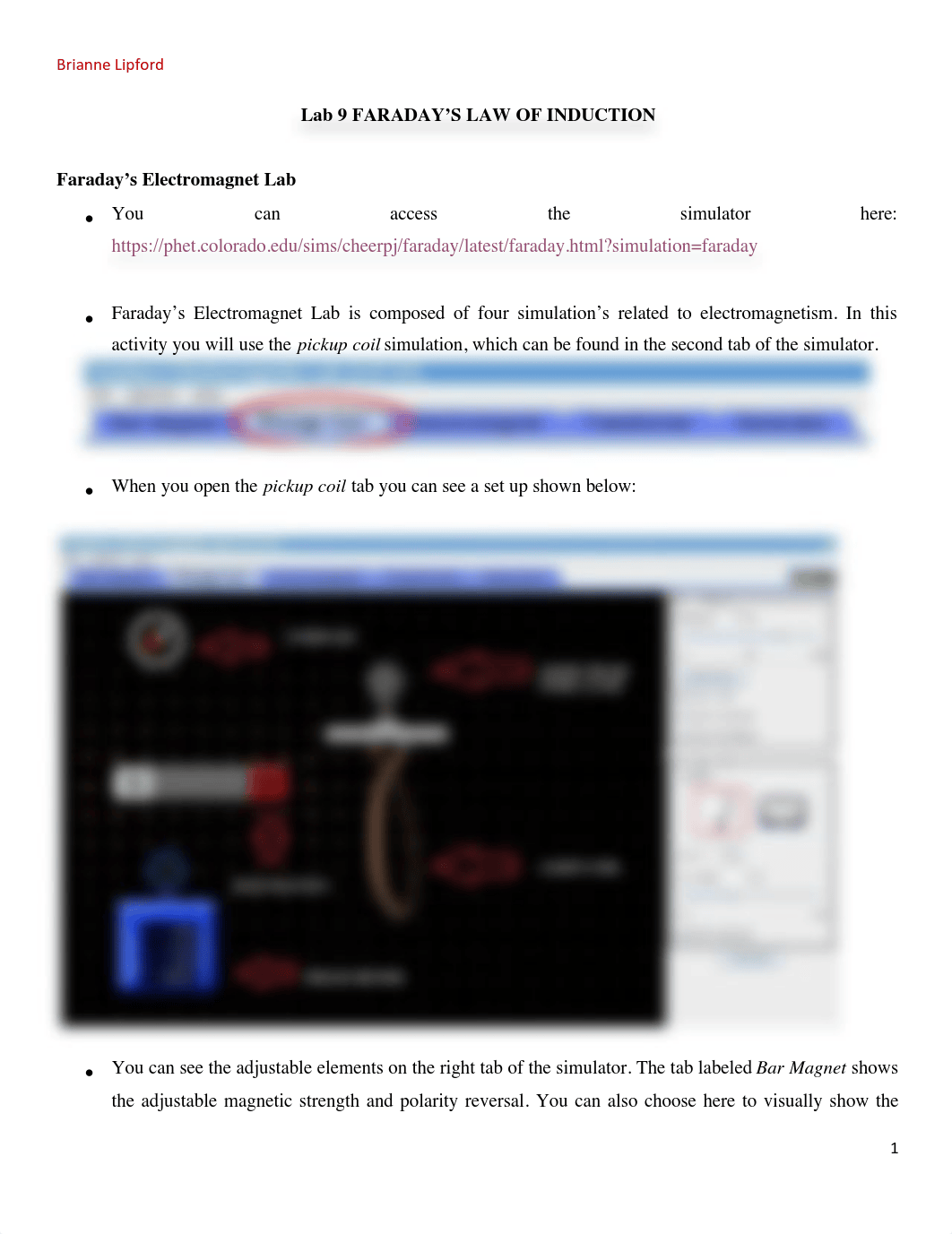 Lab 9 Faraday's Law.pdf_dfd91mmgvt6_page1