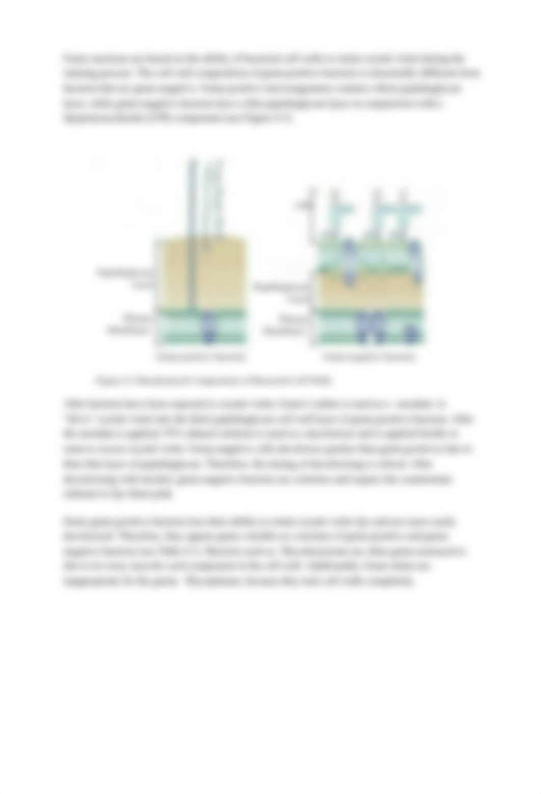 Lab 04 Simple_Gram Staining (1)_dfdegippnhc_page3