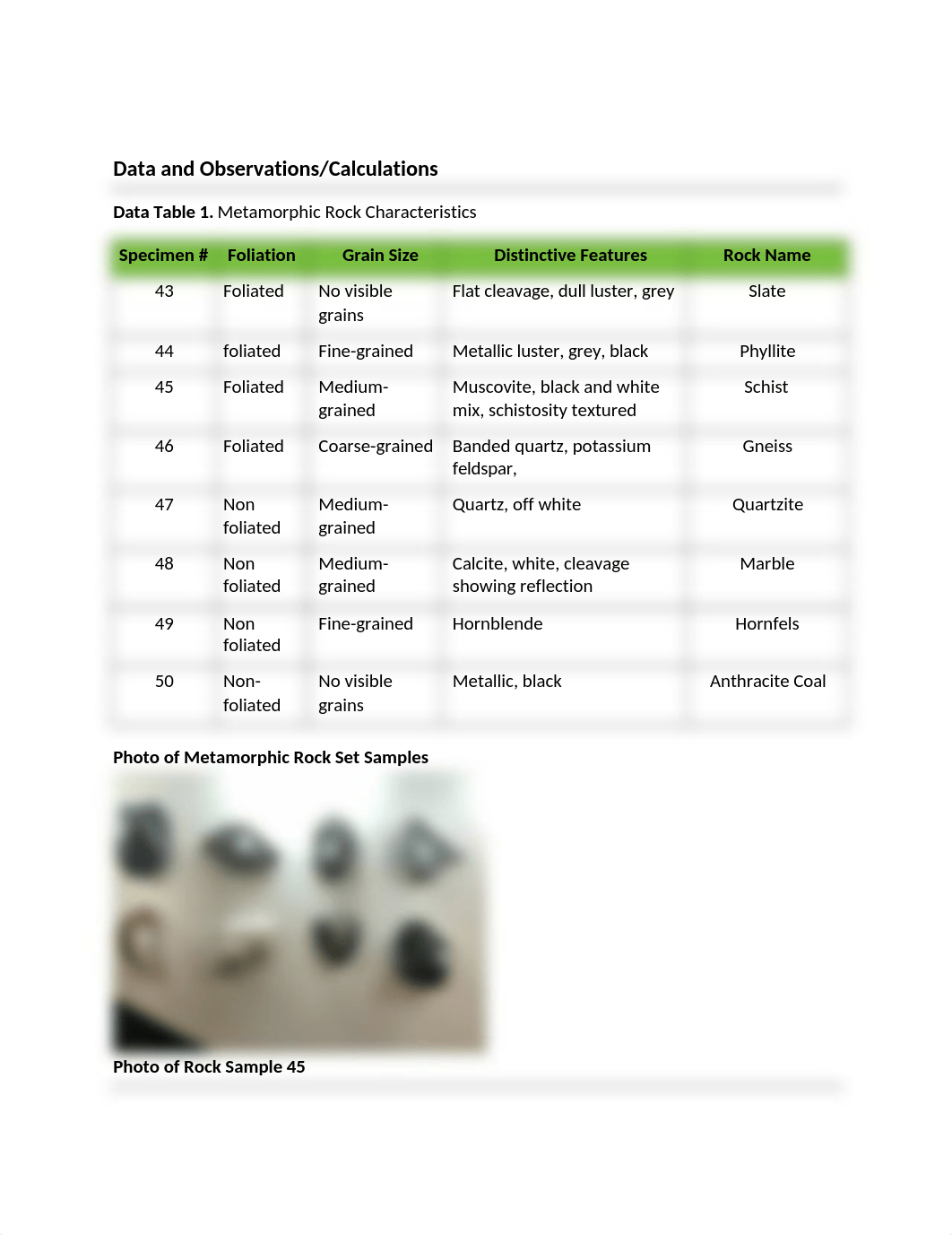 Module 3 Lab 6.docx_dfdika8nu4d_page1